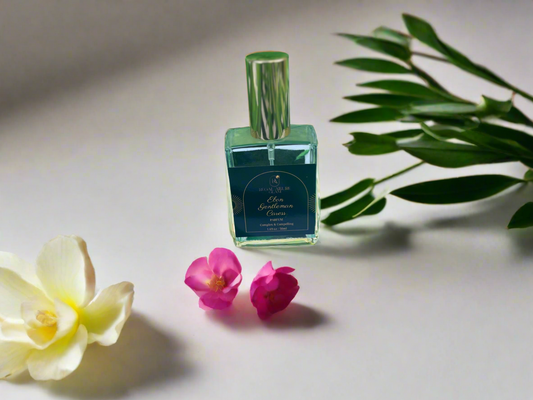 Ebon Gentleman Caress Perfume