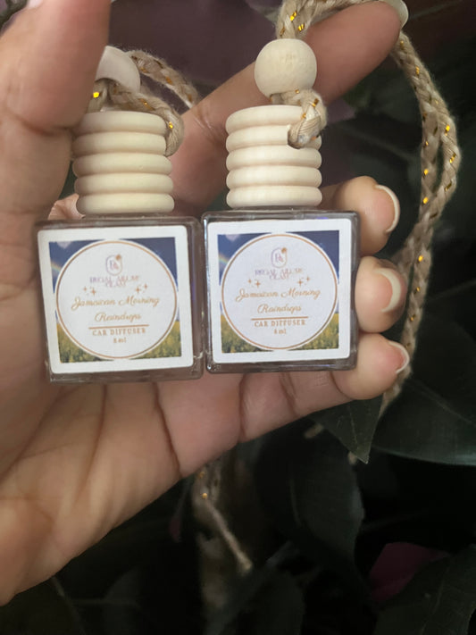 Jamaican Morning Raindrops Hanging Diffuser