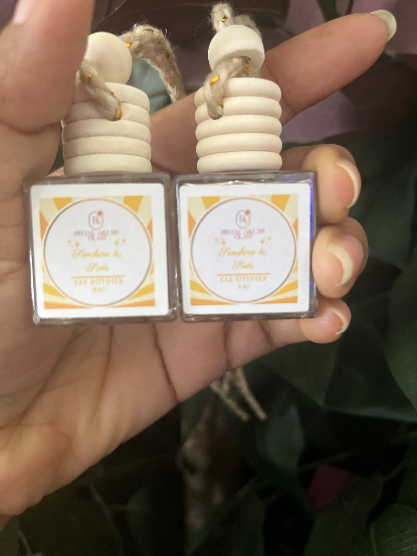 Sunshine & Suds Hanging Diffuser