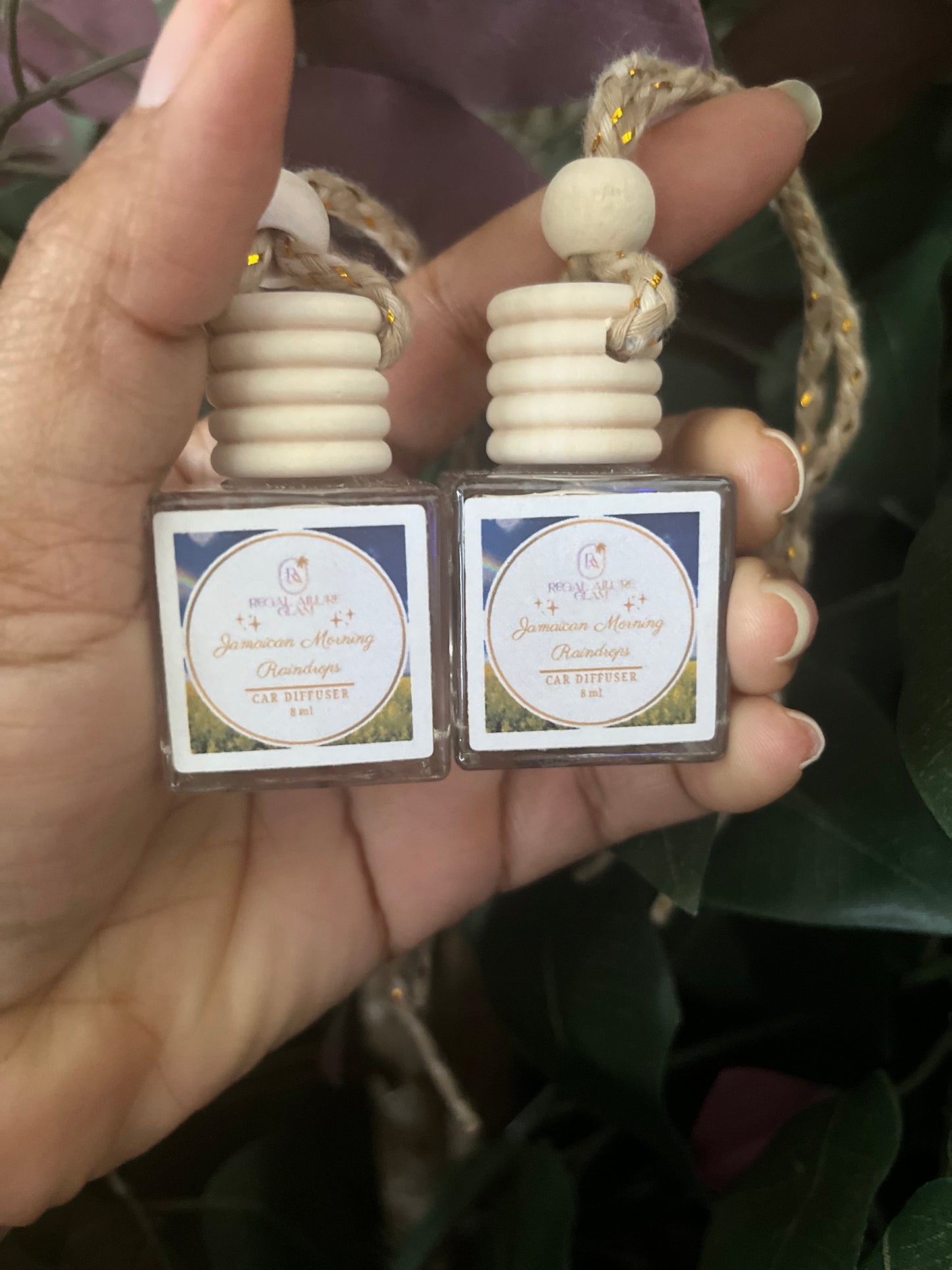 Jamaican Morning Raindrops Hanging Diffuser