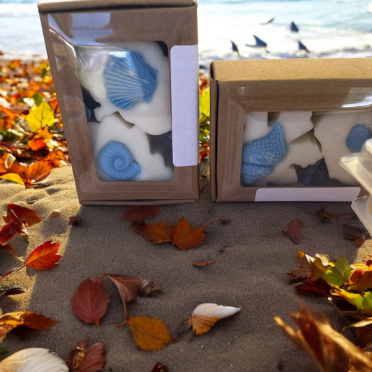 Fall On the Beach Wax Melts